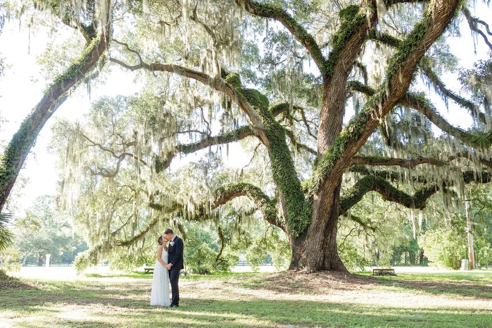 Bride/Groom Photo Shoot