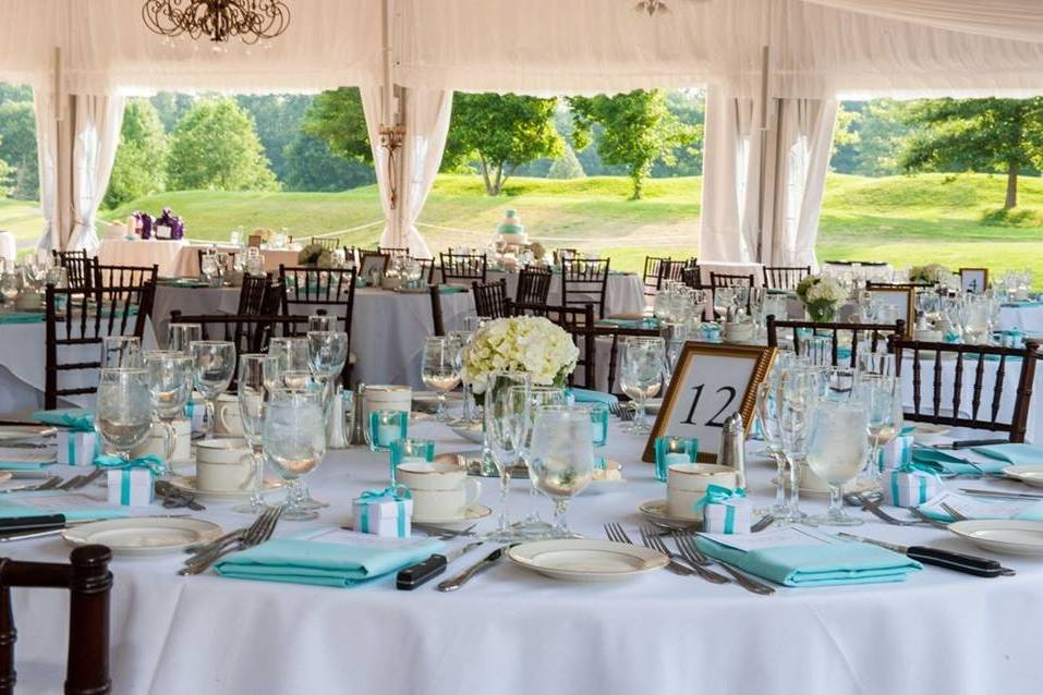 Reception set-up outdoors