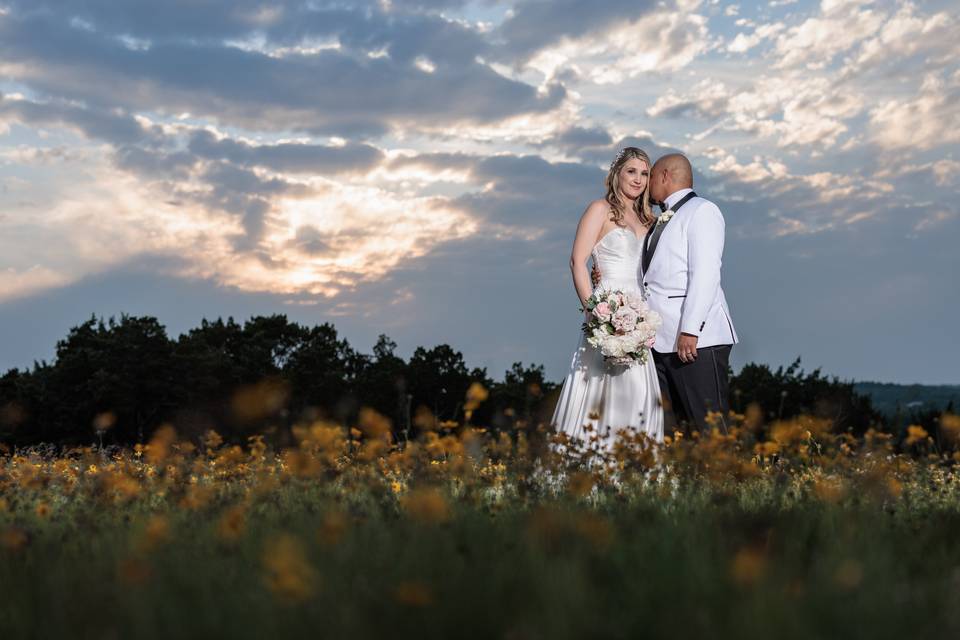 Fields of flowers