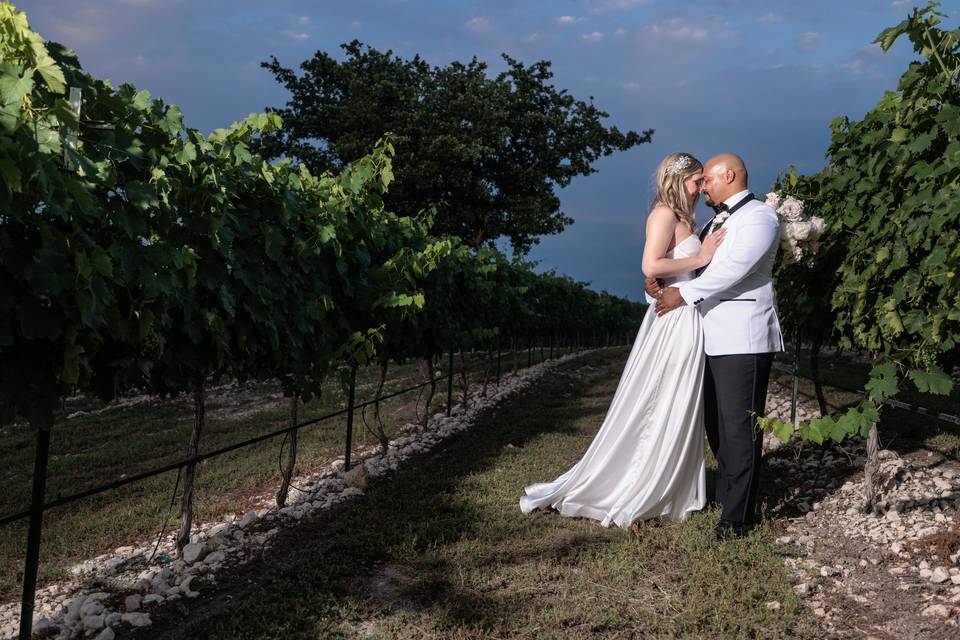 Love in the vines