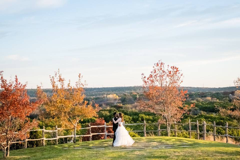 Crisp air and bright trees