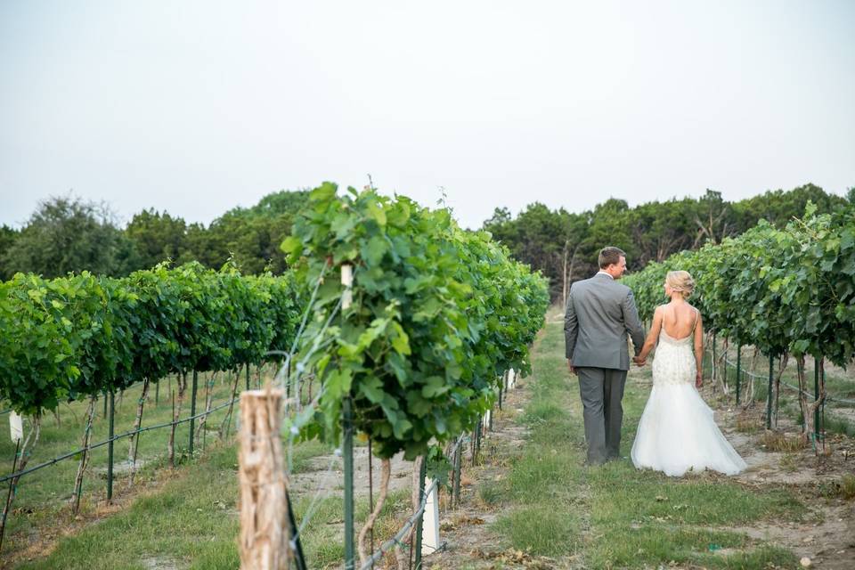 A walk through the vines