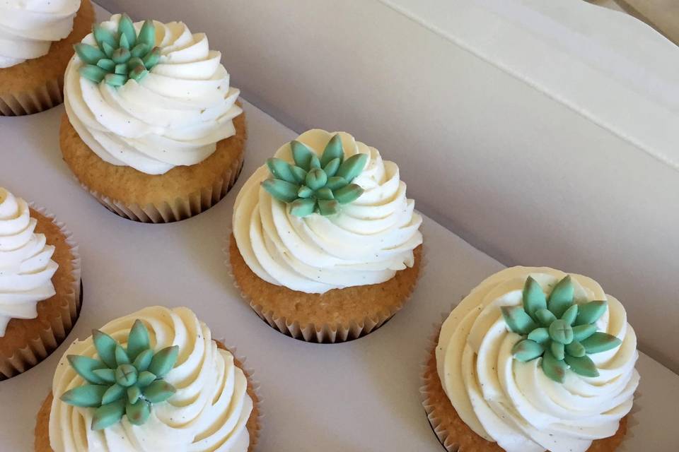 Succulent cupcakes