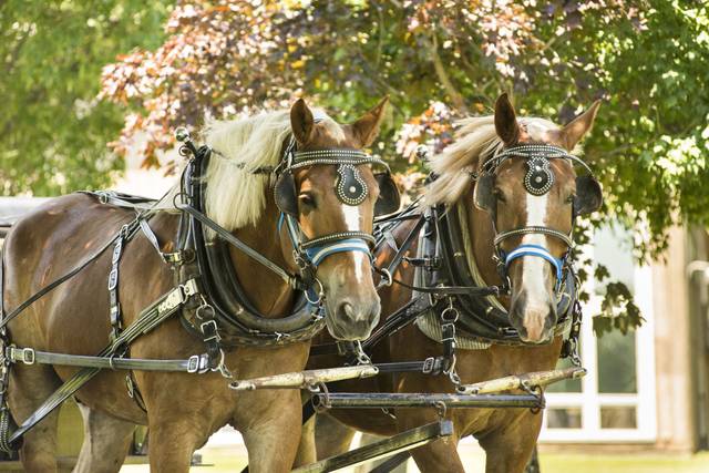 Buffalo Niagara Heritage Village