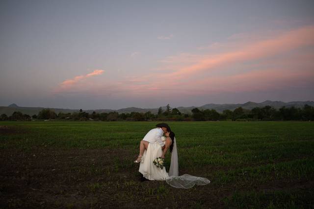 Farm Shoot