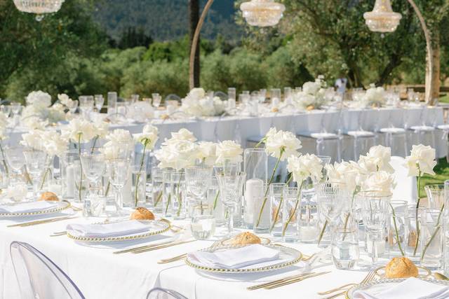 Destination Wedding Planner