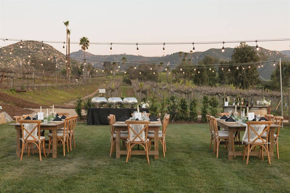 Syrah Lawn