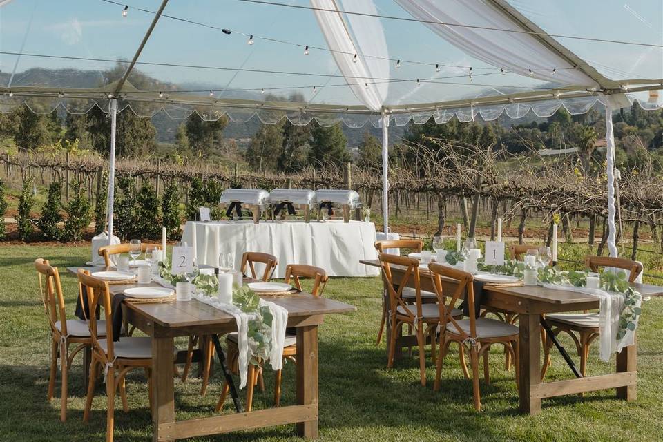 Syrah Lawn