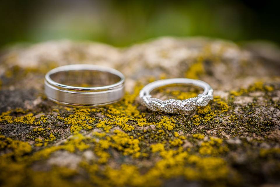 The rings (Kathy McDowell Photography)