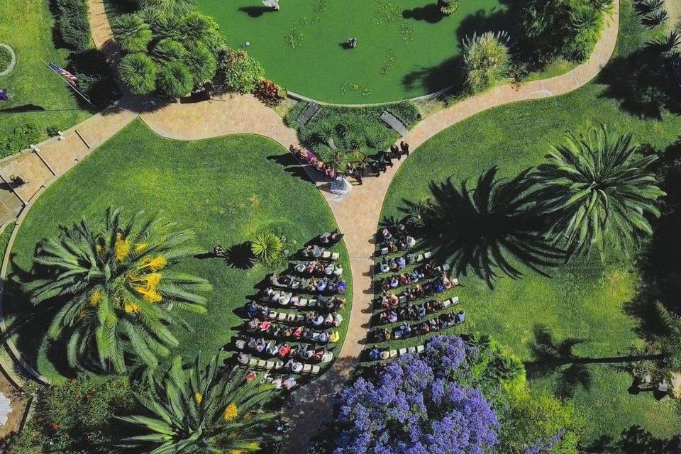 Garden from above