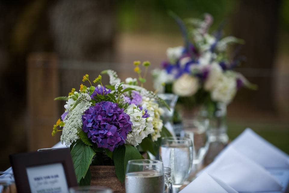 Blooming Bouquets