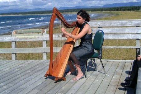 Kelly Aminian Harpist