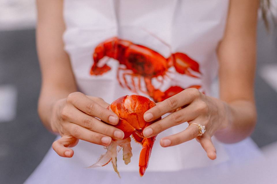 Acadia National Park Elopement