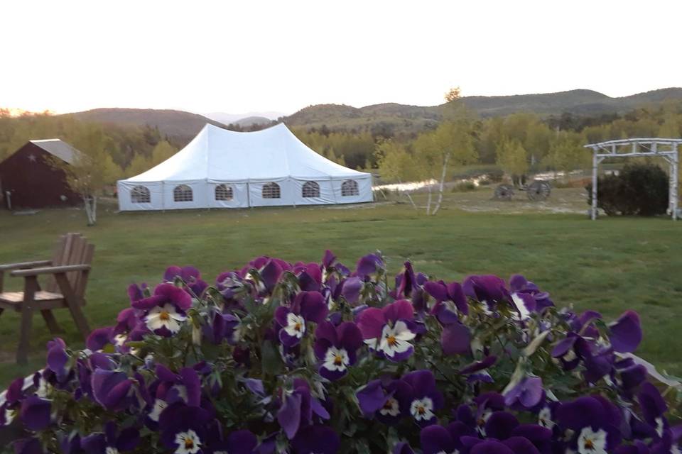 The Tent from Deck