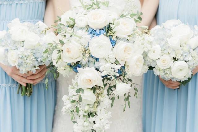Flowers of Charlotte