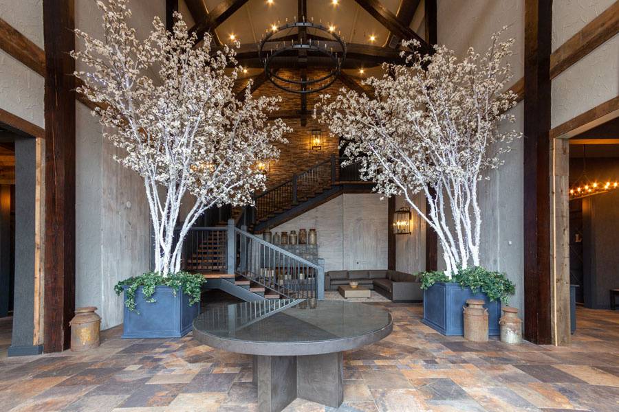 Grand entrance