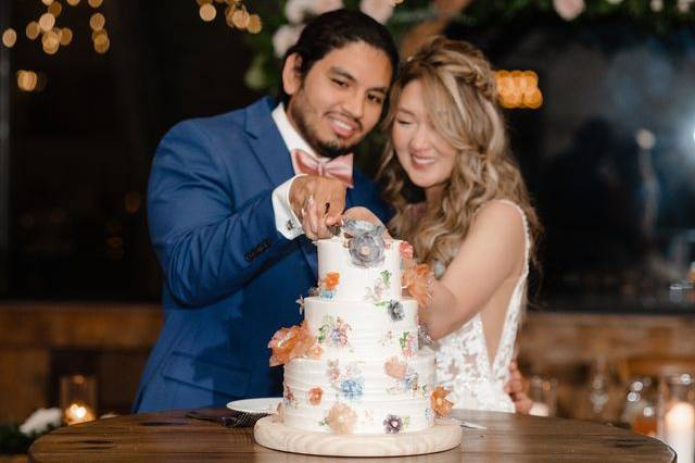 Cake Cutting