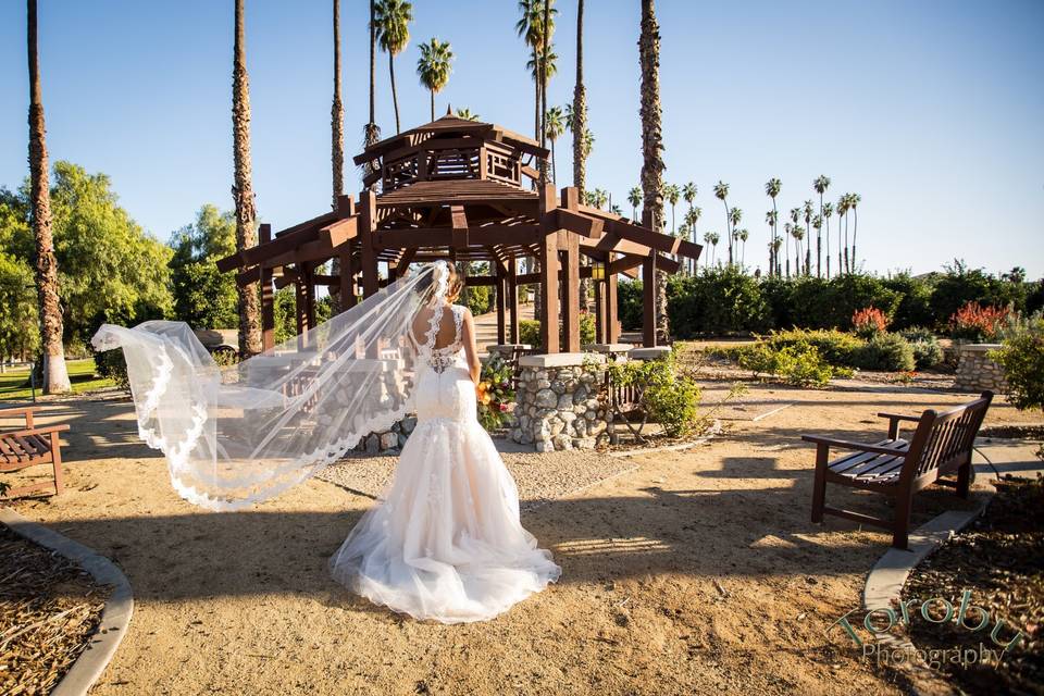 Veil toss