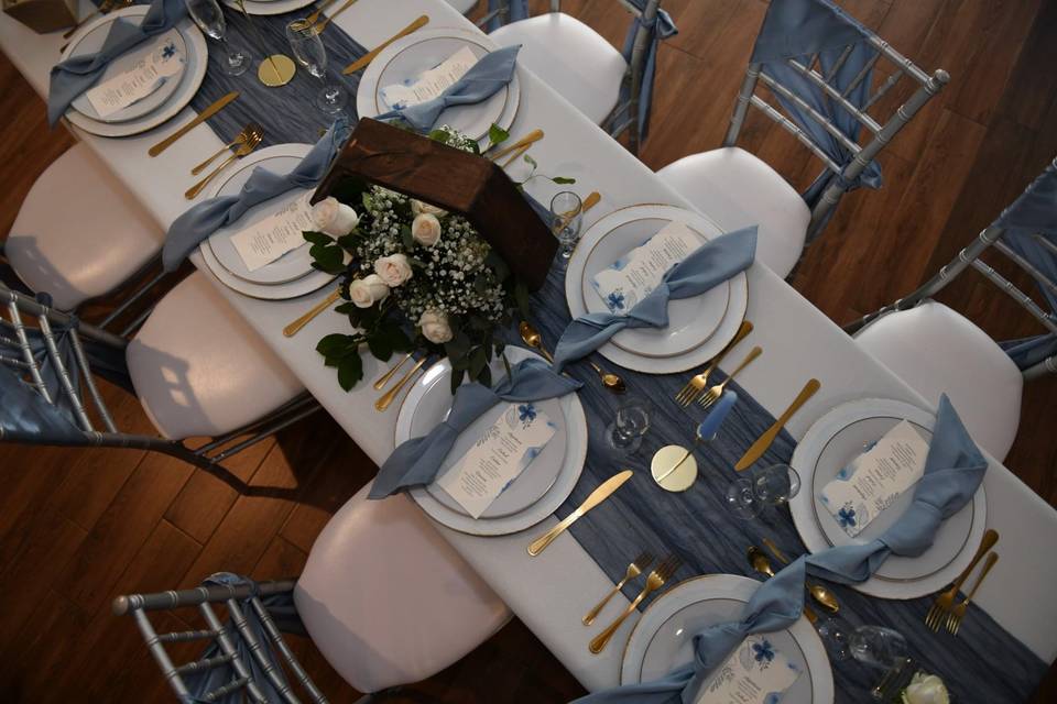 Elegant Dusty Blue Wedding