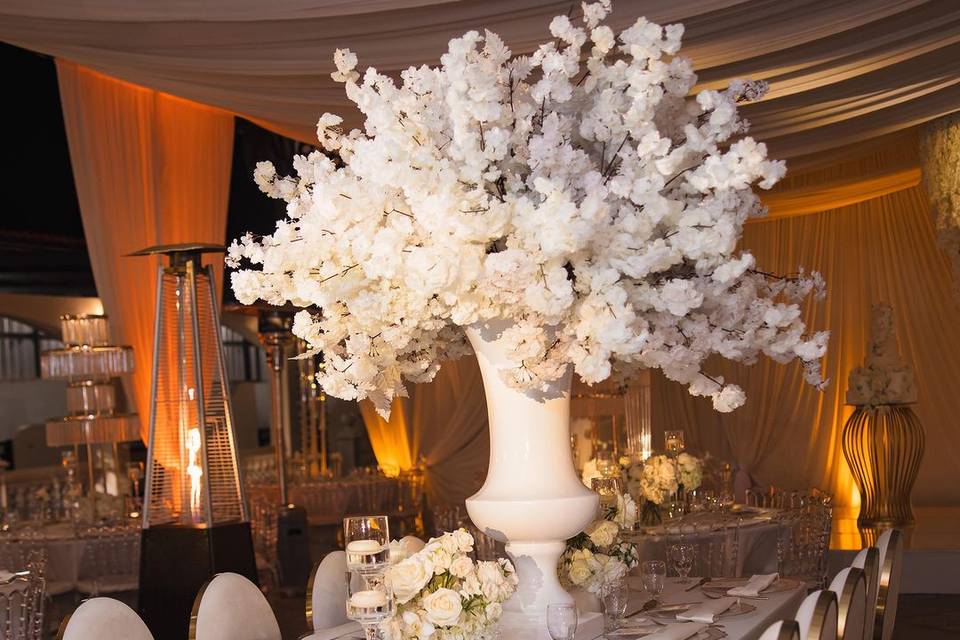 EventsbyTF