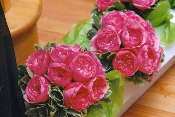 Amazing Hot Pink Bridesmaids Bouquet of Garden Roses