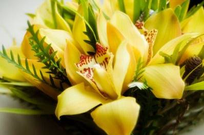 Cymbidium Orchid Bridal Bouquet