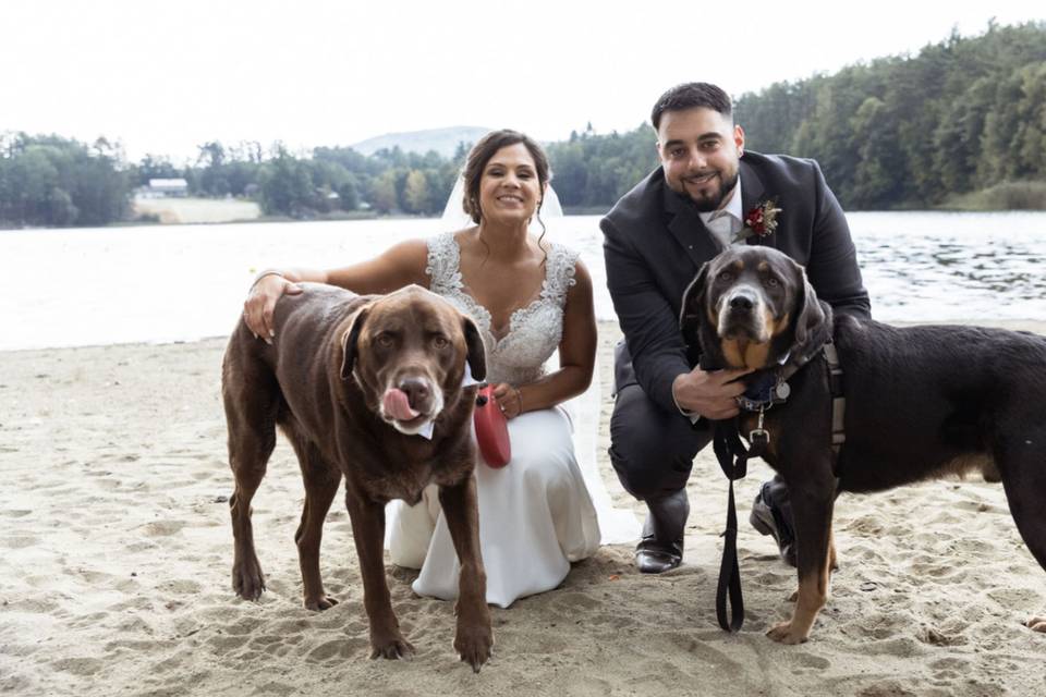 Elope with your furbabies!