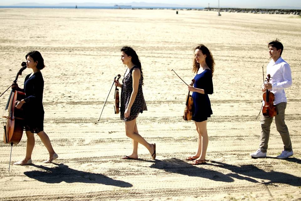 Member of the Oceanside String Quartet