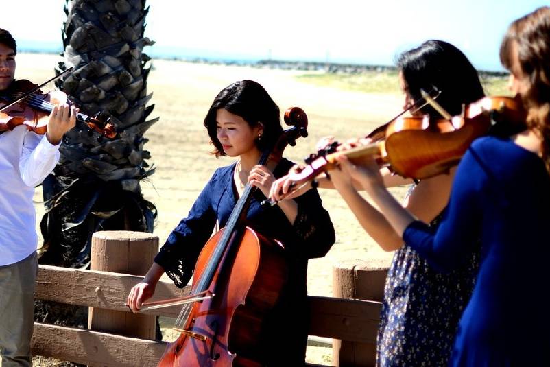 Oceanside String Quartet