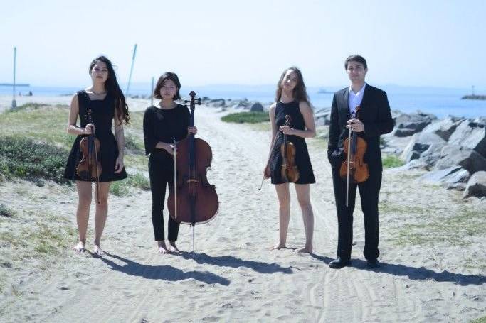 Oceanside String Quartet