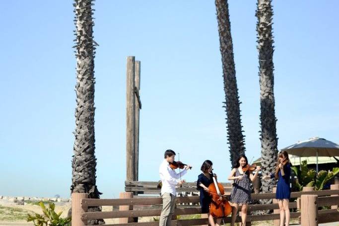 Oceanside String Quartet