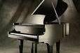 Jazz, Classical, Pop, New Age, Country, Piano with vocals, Sacred Music or a variety of different styles.  We can provide the most accomplished pianists that Denver has to offer for your special event!