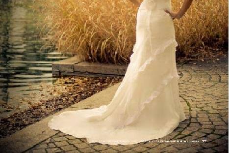 Silver Spring Wedding Dress