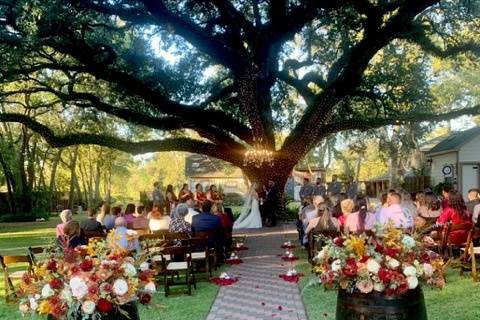 Oak Tree Manor