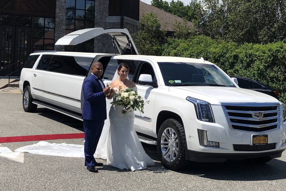 PMV Limousine Inc.