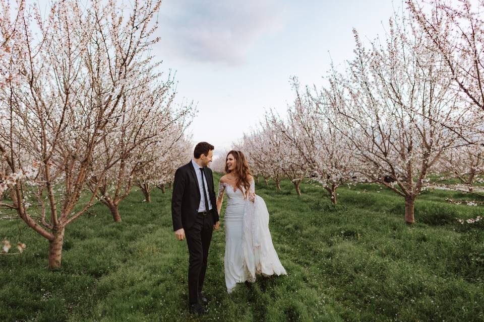 NorCal Almond Blossom Wedding