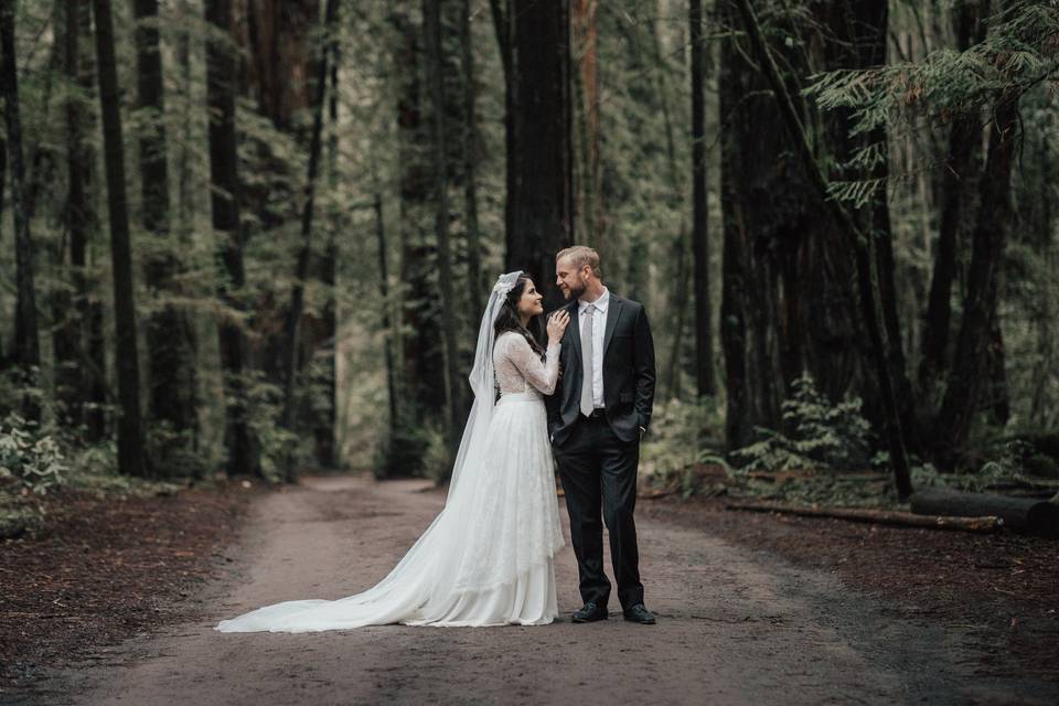 Redwood elopement