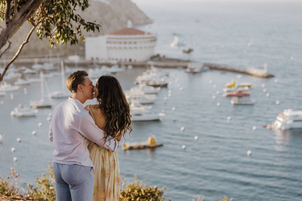 Catalina Island - Proposal