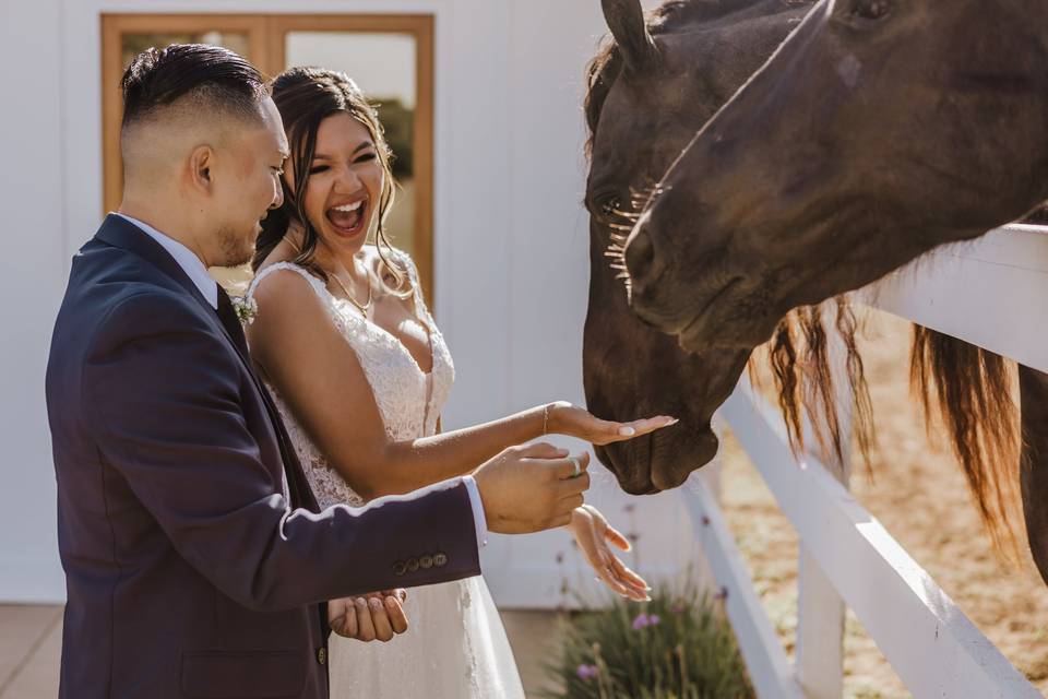 Candid Bride & Groom