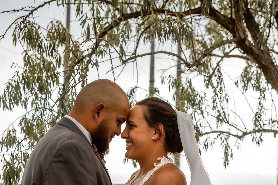 Farm Wedding Bride & Groom