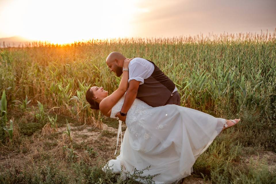 Corn Fields Bride & Groom