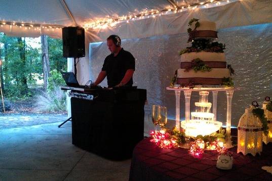 DJ MCM Wedding/Party Disc Jockey