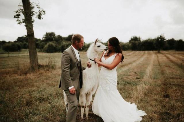 Olivia Peltier Photography