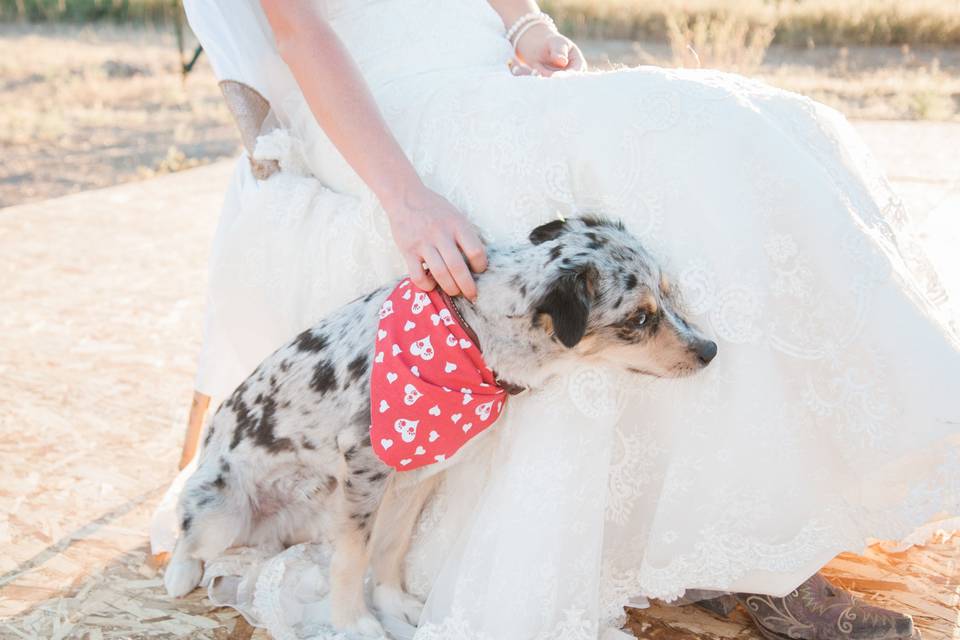 The Photo & Flower Girl