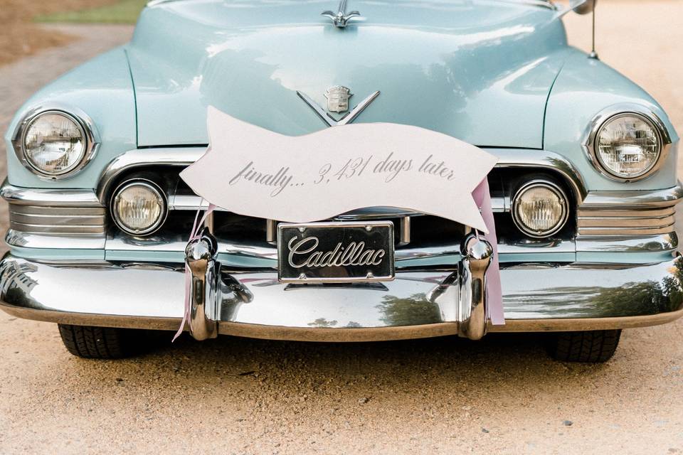 Newlyweds by their car