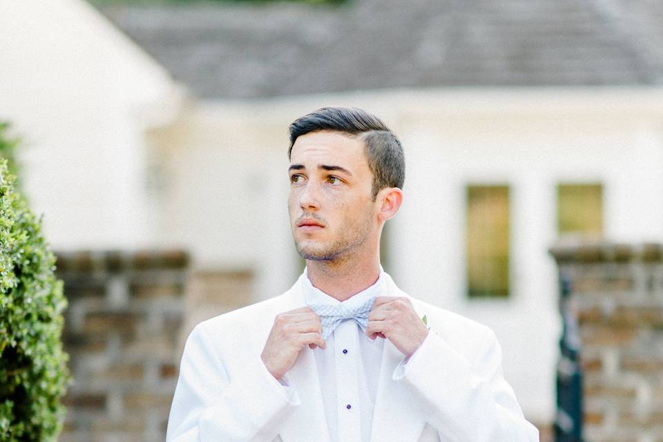 Groom by the car