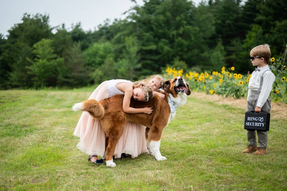 Rochester Wedding Photography