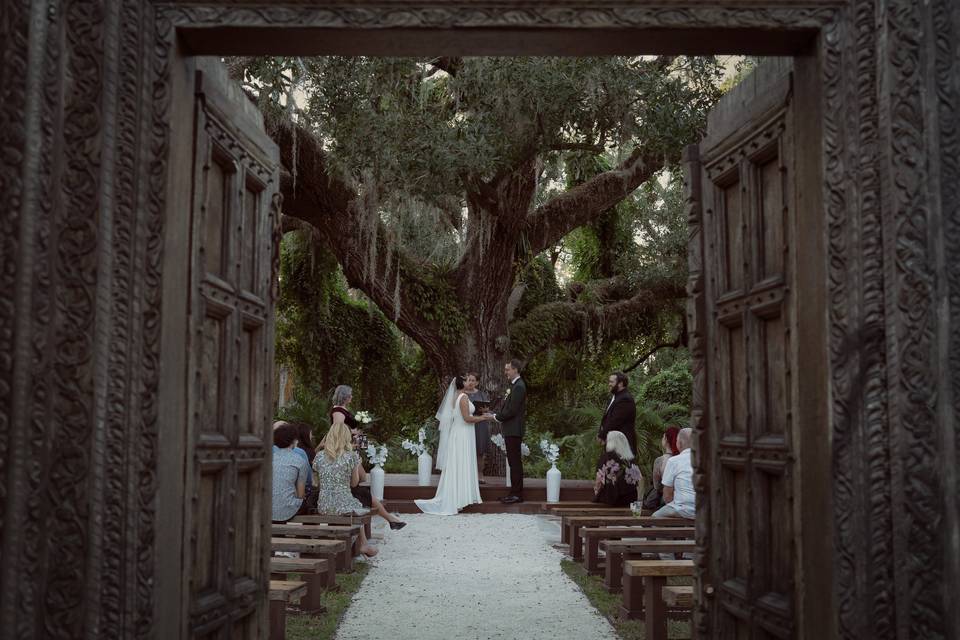 Tampa wedding