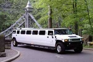 W-Limo