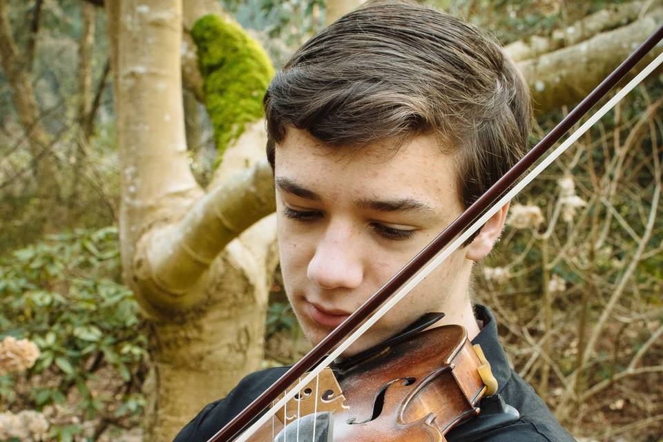 Violinist, Dominic Padula